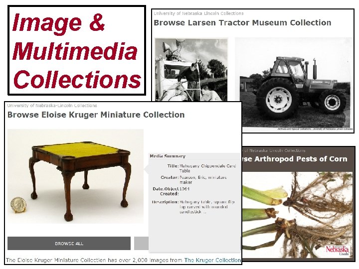 Image & Multimedia Collections 