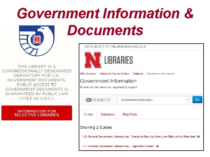 Government Information & Documents 