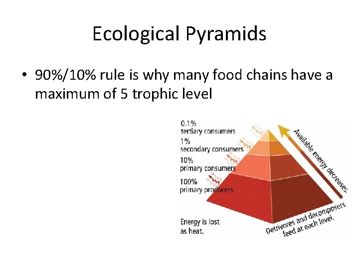 Ecological Pyramids • 90%/10% rule is why many food chains have a maximum of