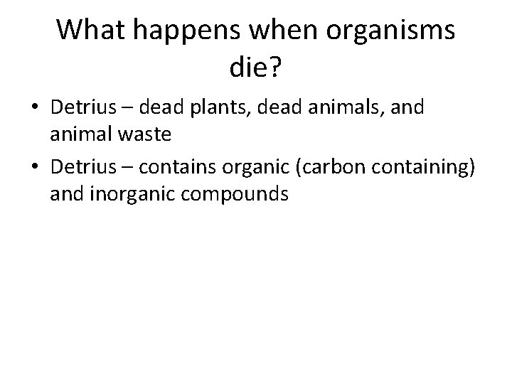 What happens when organisms die? • Detrius – dead plants, dead animals, and animal