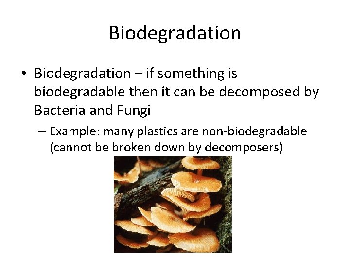 Biodegradation • Biodegradation – if something is biodegradable then it can be decomposed by