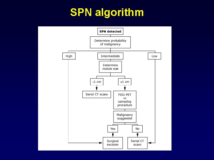 SPN algorithm 