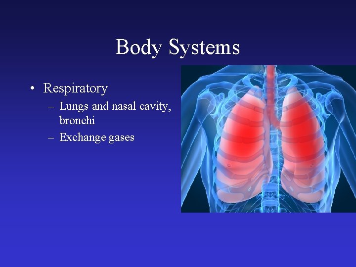 Body Systems • Respiratory – Lungs and nasal cavity, bronchi – Exchange gases 