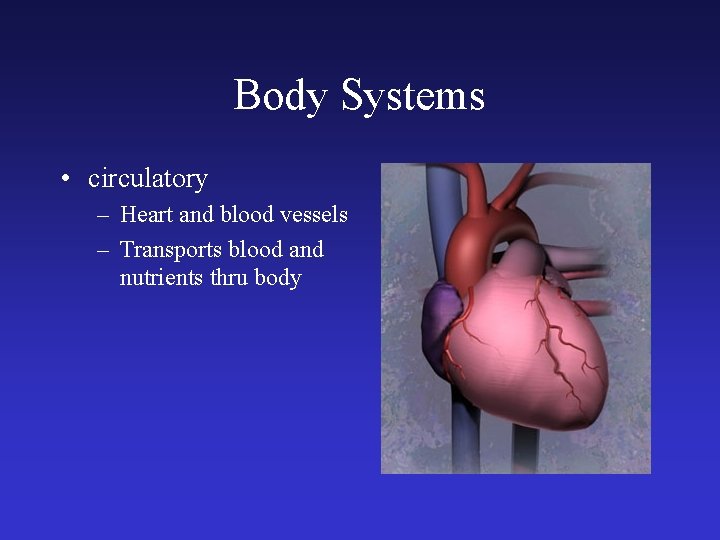 Body Systems • circulatory – Heart and blood vessels – Transports blood and nutrients