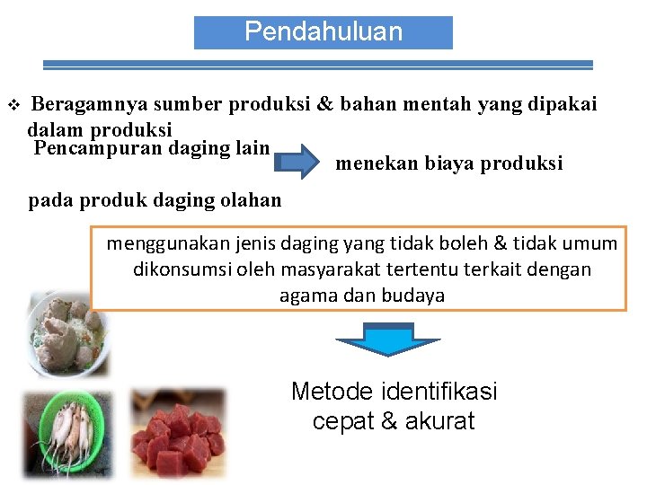 Pendahuluan v Beragamnya sumber produksi & bahan mentah yang dipakai dalam produksi Pencampuran daging