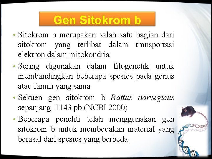 Gen Sitokrom b • Sitokrom b merupakan salah satu bagian dari sitokrom yang terlibat