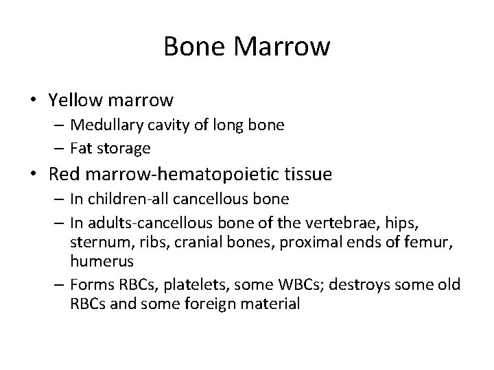 Bone Marrow • Yellow marrow – Medullary cavity of long bone – Fat storage