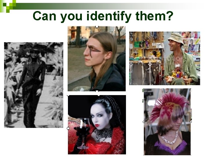 Can you identify them? 