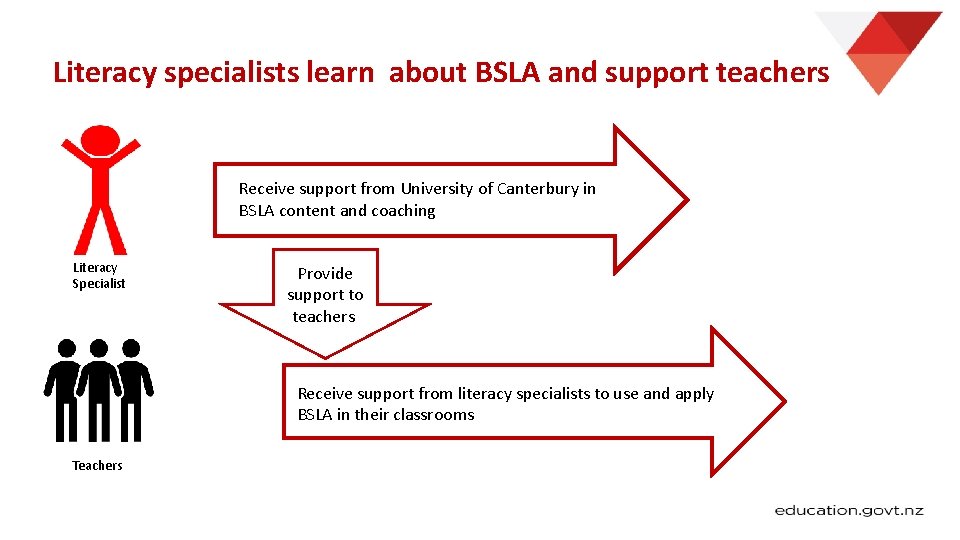 Literacy specialists learn about BSLA and support teachers Receive support from University of Canterbury