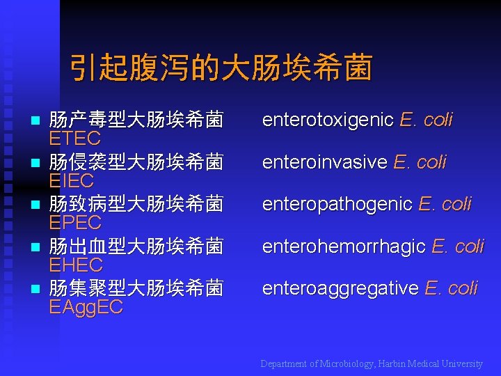 引起腹泻的大肠埃希菌 n n n 肠产毒型大肠埃希菌 ETEC 肠侵袭型大肠埃希菌 EIEC 肠致病型大肠埃希菌 EPEC 肠出血型大肠埃希菌 EHEC 肠集聚型大肠埃希菌 EAgg.