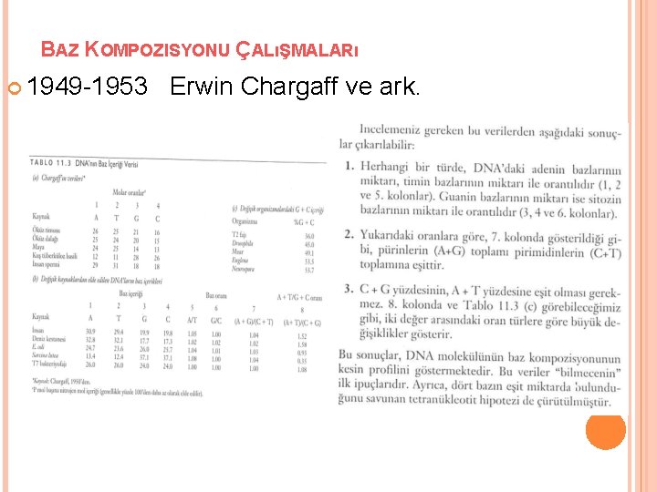 BAZ KOMPOZISYONU ÇALıŞMALARı 1949 -1953 Erwin Chargaff ve ark. 