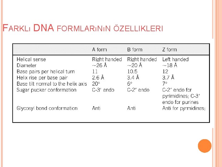 FARKLı DNA FORMLARıNıN ÖZELLIKLERI 