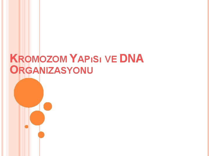 KROMOZOM YAPıSı VE DNA ORGANIZASYONU 