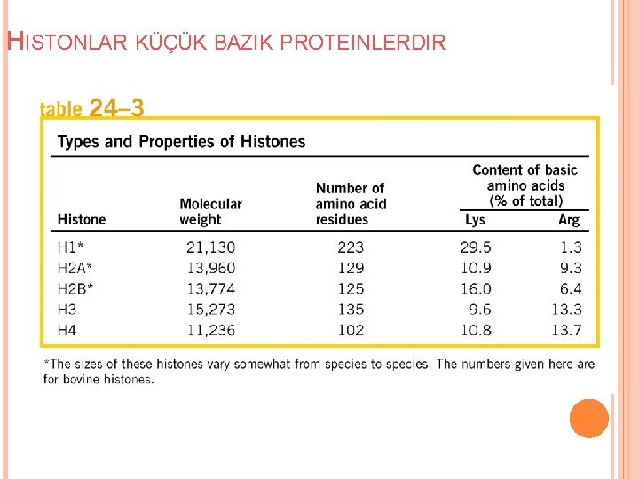 HISTONLAR KÜÇÜK BAZIK PROTEINLERDIR 