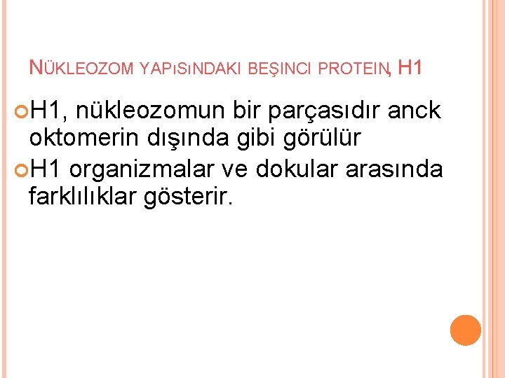 NÜKLEOZOM YAPıSıNDAKI BEŞINCI PROTEIN, H 1, nükleozomun bir parçasıdır anck oktomerin dışında gibi görülür