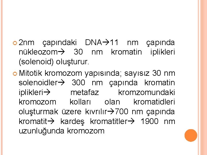  2 nm çapındaki DNA 11 nm çapında nükleozom 30 nm kromatin iplikleri (solenoid)