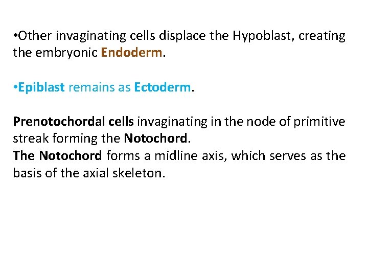  • Other invaginating cells displace the Hypoblast, creating the embryonic Endoderm. • Epiblast