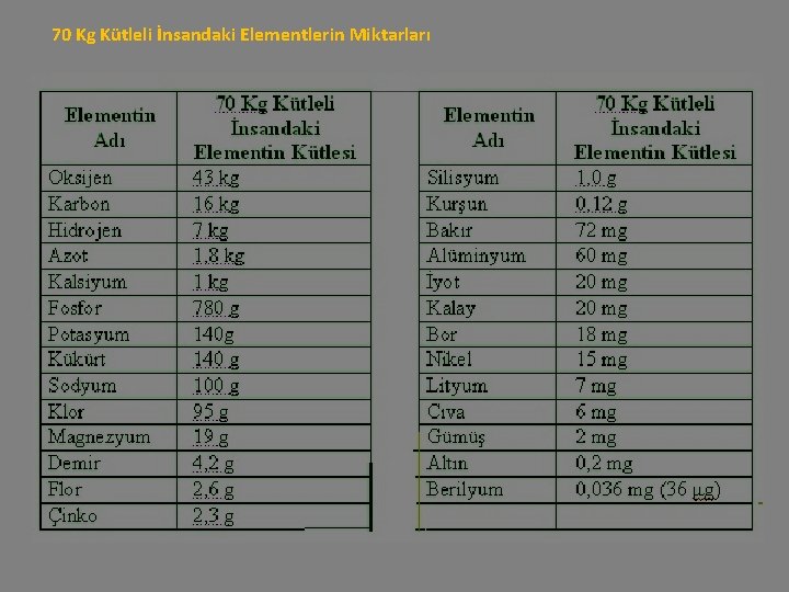 70 Kg Kütleli İnsandaki Elementlerin Miktarları 