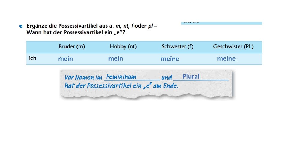 meine Plural 