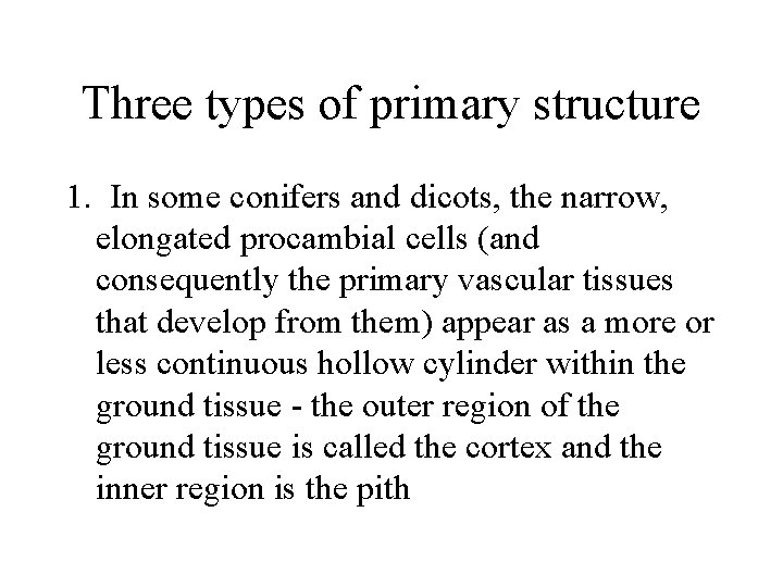 Three types of primary structure 1. In some conifers and dicots, the narrow, elongated