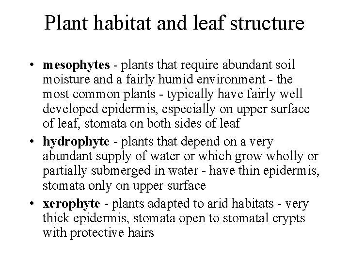 Plant habitat and leaf structure • mesophytes - plants that require abundant soil moisture