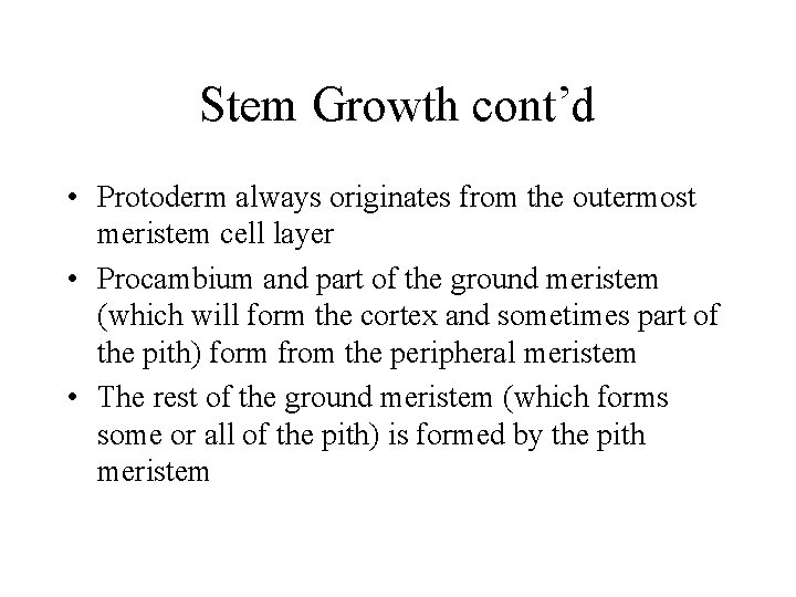 Stem Growth cont’d • Protoderm always originates from the outermost meristem cell layer •