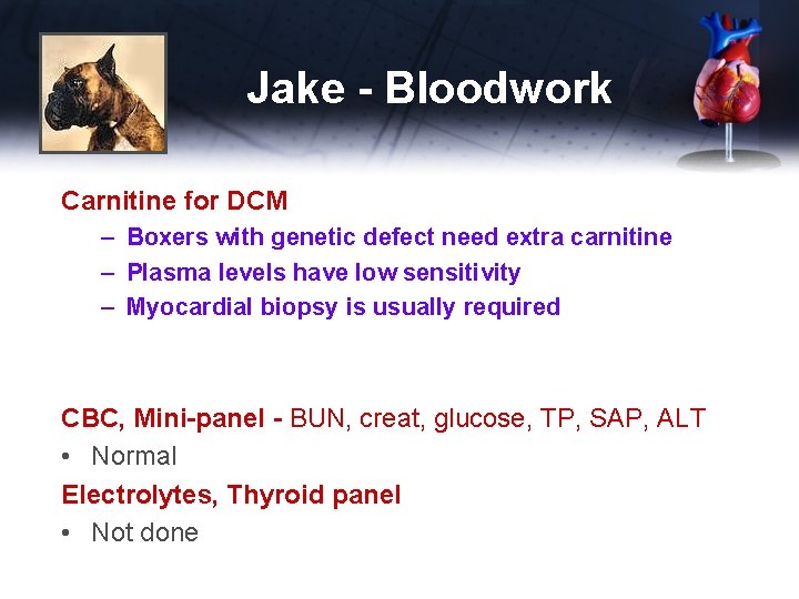 Jake - Bloodwork Carnitine for DCM – Boxers with genetic defect need extra carnitine