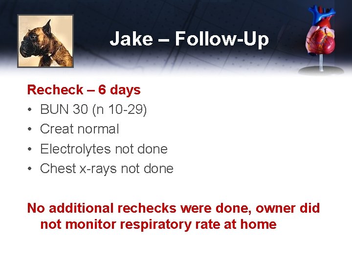 Jake – Follow-Up Recheck – 6 days • BUN 30 (n 10 -29) •