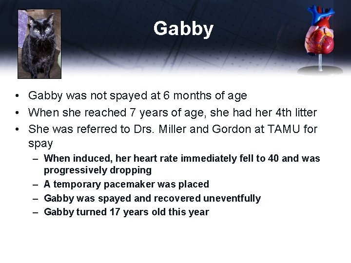 Gabby • Gabby was not spayed at 6 months of age • When she