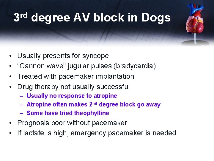 3 rd degree AV block in Dogs • • Usually presents for syncope “Cannon