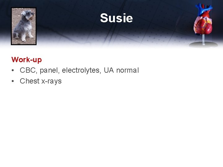 Susie Work-up • CBC, panel, electrolytes, UA normal • Chest x-rays 