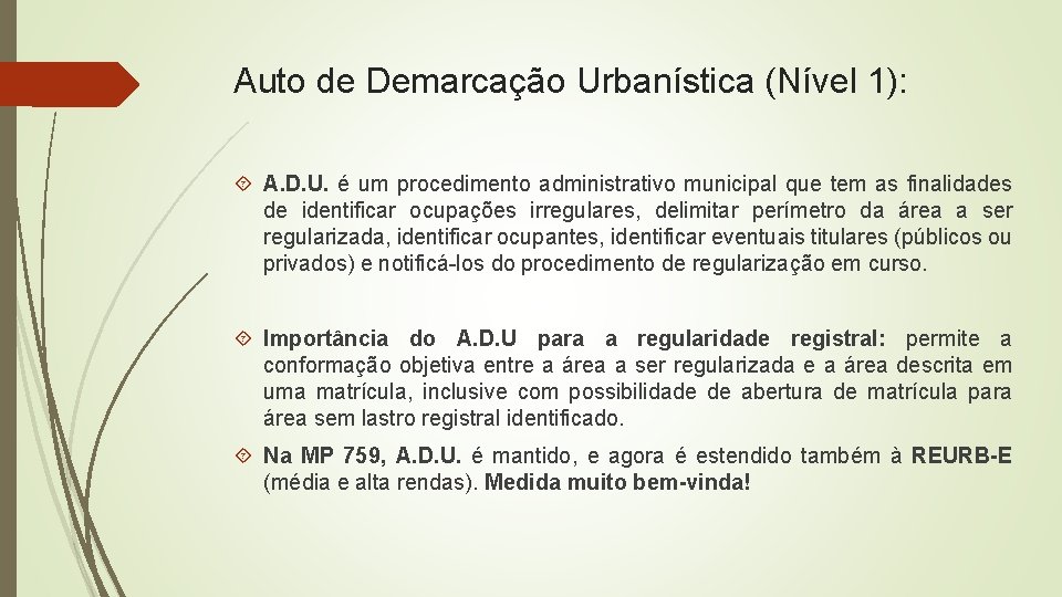Auto de Demarcação Urbanística (Nível 1): A. D. U. é um procedimento administrativo municipal