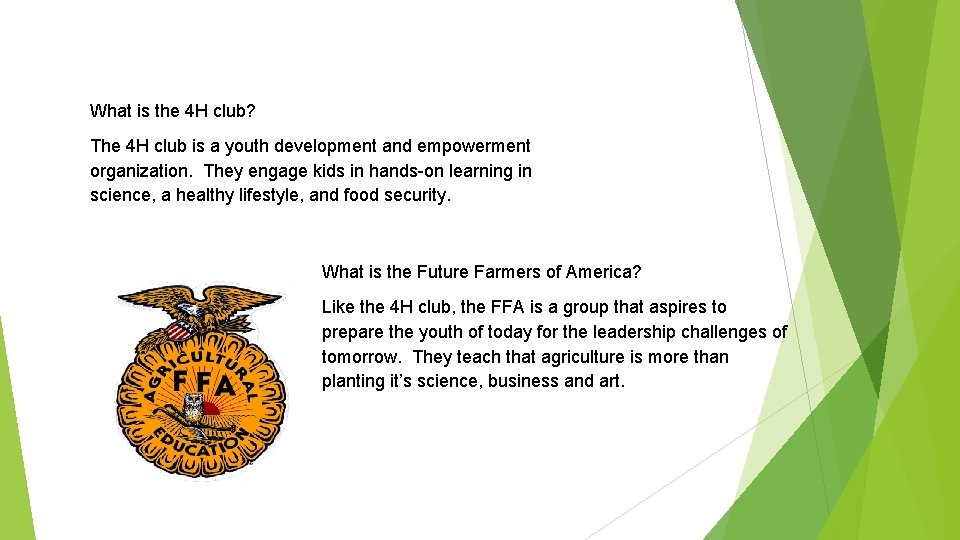 What is the 4 H club? The 4 H club is a youth development