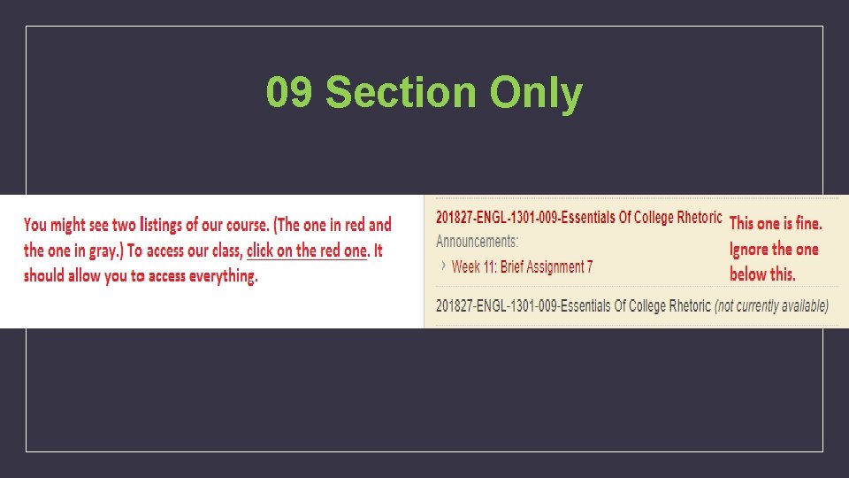 09 Section Only 