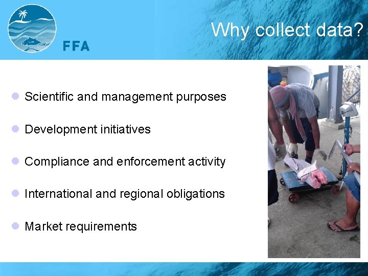 Why collect data? l Scientific and management purposes l Development initiatives l Compliance and