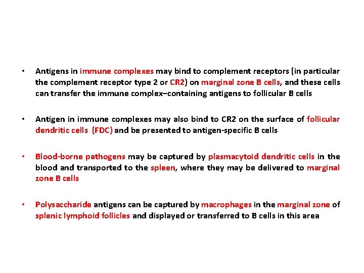 Chapter 12 B Cell Activation and Antibody Production