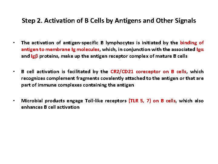Step 2. Activation of B Cells by Antigens and Other Signals • The activation