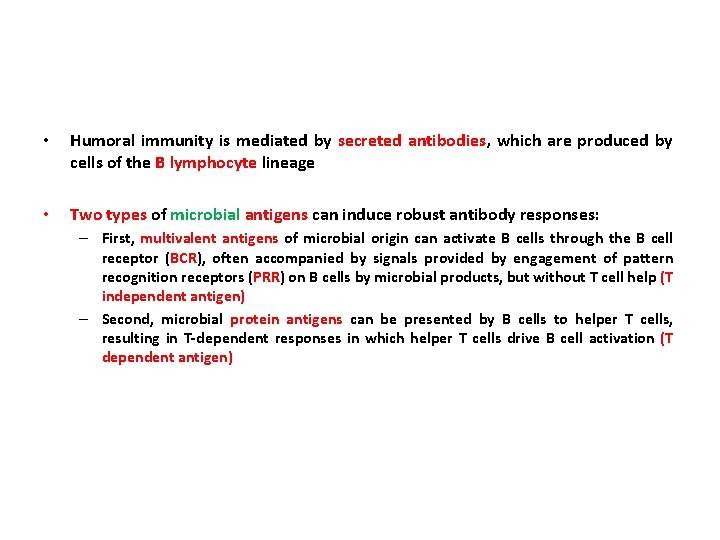  • Humoral immunity is mediated by secreted antibodies, which are produced by cells