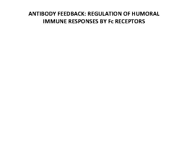 ANTIBODY FEEDBACK: REGULATION OF HUMORAL IMMUNE RESPONSES BY Fc RECEPTORS 