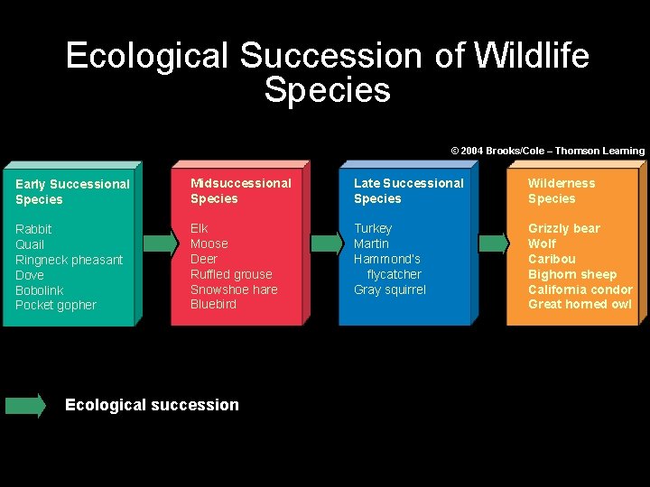 Ecological Succession of Wildlife Species © 2004 Brooks/Cole – Thomson Learning Early Successional Species Ecological Succession of Wildlife Species © 2004 Brooks/Cole – Thomson Learning Early Successional Species