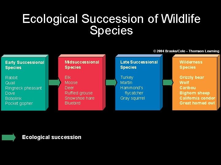 Ecological Succession of Wildlife Species © 2004 Brooks/Cole – Thomson Learning Early Successional Species