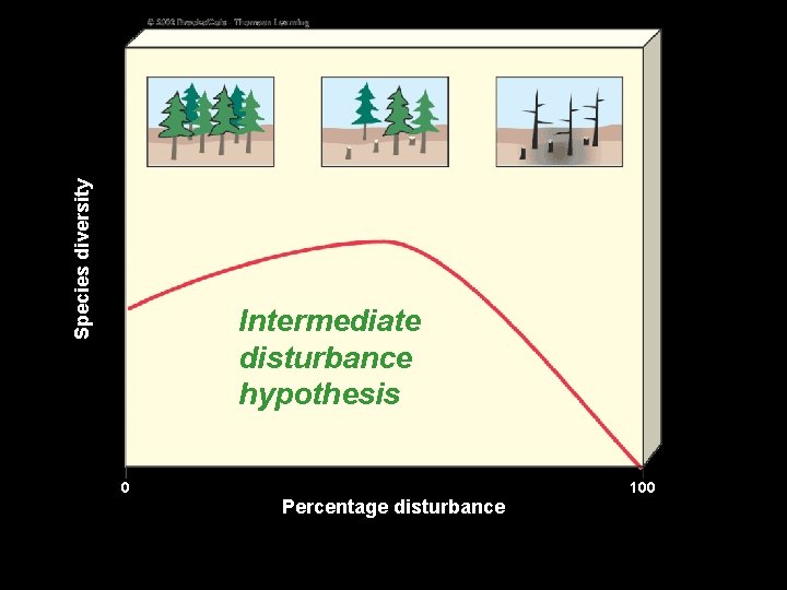 Species diversity Intermediate disturbance hypothesis 0 Percentage disturbance 100 