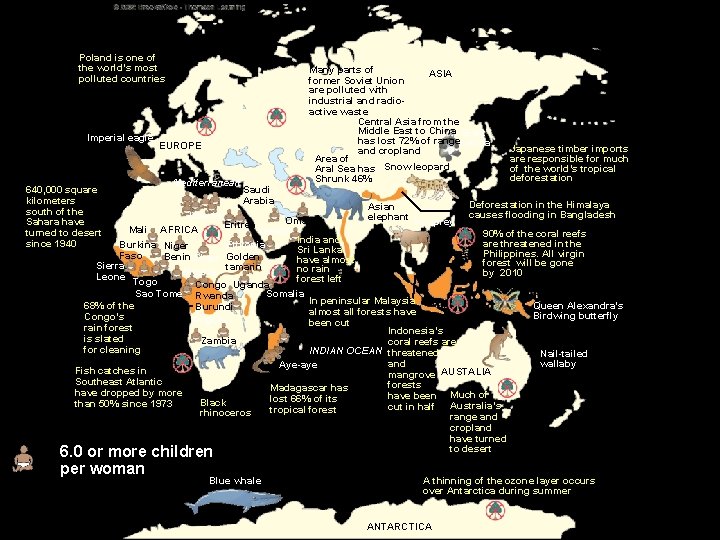 Poland is one of the world’s most polluted countries Imperial eagle 640, 000 square Poland is one of the world’s most polluted countries Imperial eagle 640, 000 square