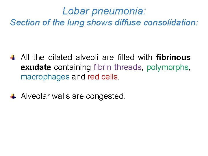 Lobar pneumonia: Section of the lung shows diffuse consolidation: All the dilated alveoli are