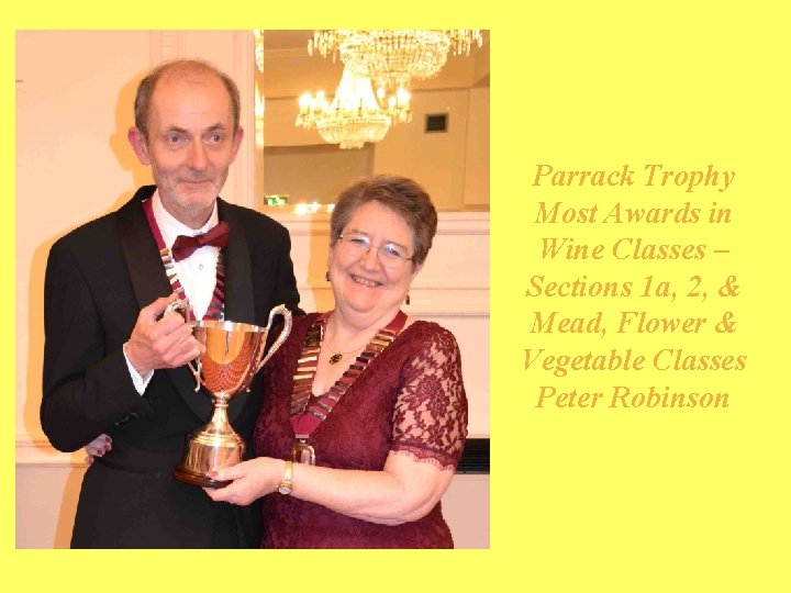 Parrack Trophy Most Awards in Wine Classes – Sections 1 a, 2, & Mead,