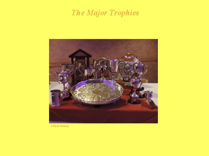 The Major Trophies © Elaine Robinson 