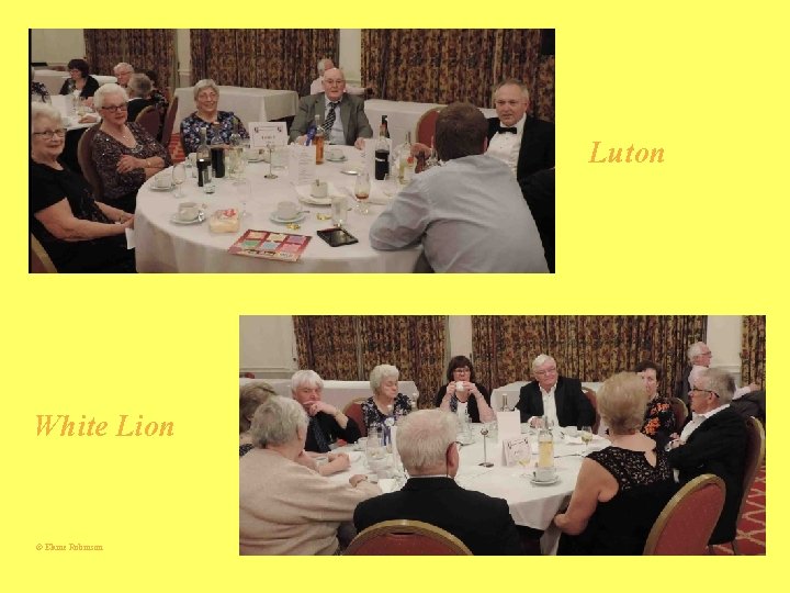 Luton White Lion © Elaine Robinson 