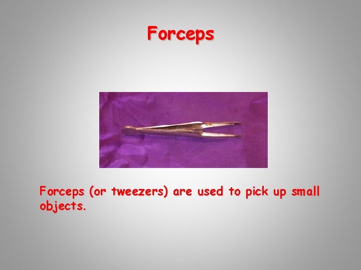 Forceps (or tweezers) are used to pick up small objects. 
