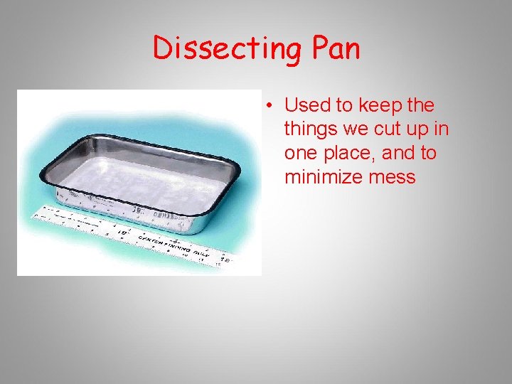 Dissecting Pan • Used to keep the things we cut up in one place,
