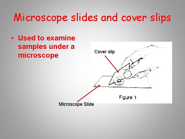 Microscope slides and cover slips • Used to examine samples under a microscope Microscope